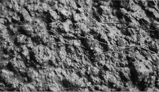 SFRC vs Traditional Reinforcement: Choosing the Right Concrete Strength Solution